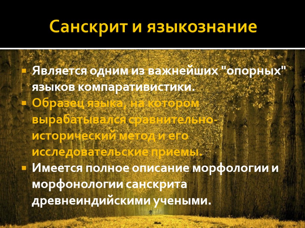 Санскрит и языкознание Является одним из важнейших 